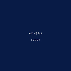 AMNESIA