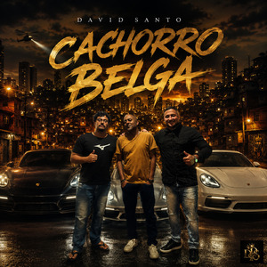 CACHORRO BELGA