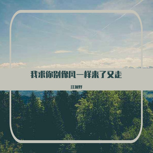 我求你别像风一样来了又走