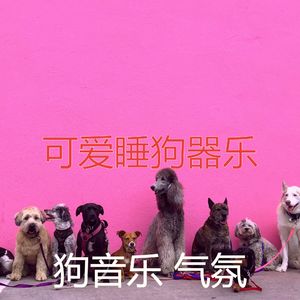 微妙的睡狗心情