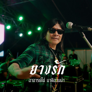 ยางรัก (Reproduced 2026)