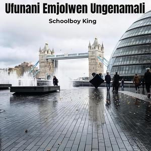 Ufunani Emjolwen Ungenamali