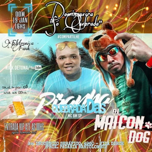 BM SP PRA LÁ PRA CÁ PRA Maicon Dog