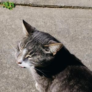 all my Xs (instrumental)