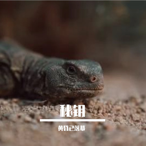 海员