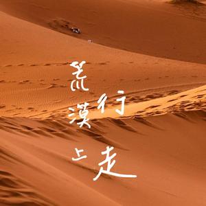 荒漠上行走