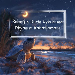 Daha İyi Uyku (Doğal Okyanus Sesleri)