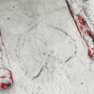 我想带你去滑雪