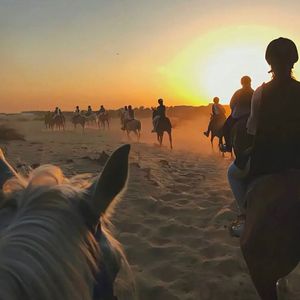 梦一场（翻自 阿虾）（翻自 阿虾）