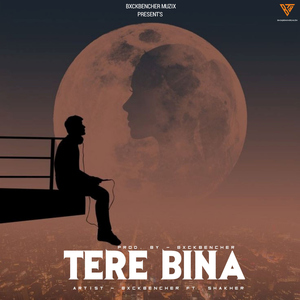 Tere Bina (feat. Shekhar)