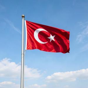 Vatan İçin Sonuna Dek