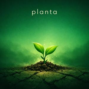 Planta