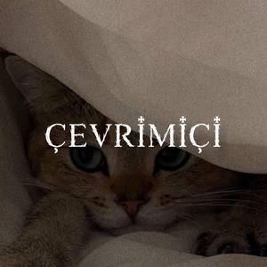 Çevrimiçi