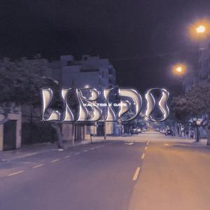 LIBIDO