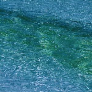 紫罗兰盛放在荒原 溺死于深海