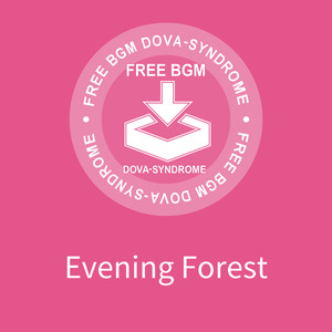 Evening Forest