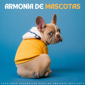 Las Patas De Mascotas Aprovechan La Lluvia
