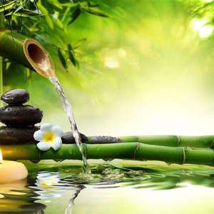 蔡志展 - 竹苑情歌(Crazy Up! Extended Mix)