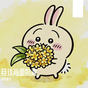 月球背面的海
