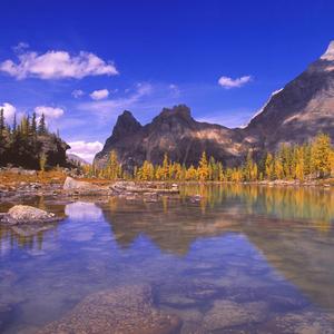 回头回望我的青春