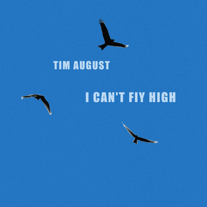 I Can't Fly High