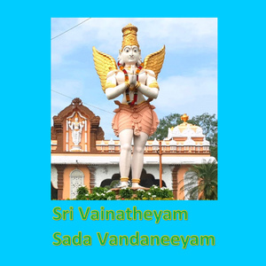 Sri Vainatheyam Sada Vandaneeyam (Live)