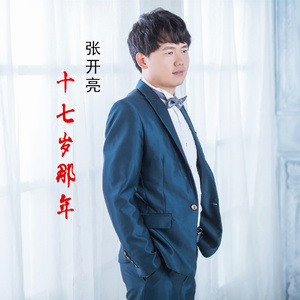 十七岁那年