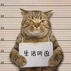 乱七八糟的一天