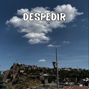 Despedir