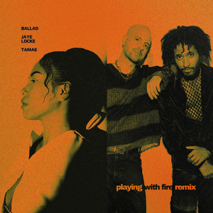 Playing With Fire (Remix)