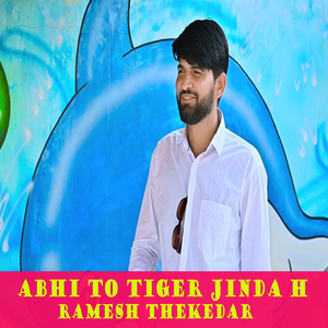 Abhi to Tiger Jinda H