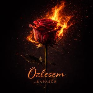 Özlesem