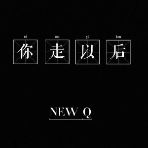 你走以后