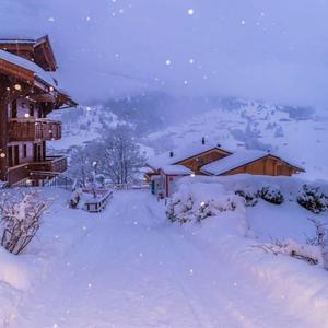 保护花的方式就是让花盛开