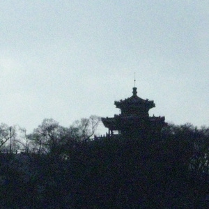 骤雨