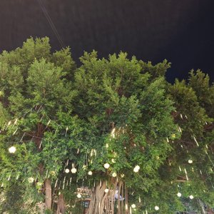 铁皮火车不停开_翻自蒋敦豪