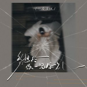 多想给你一场婚礼