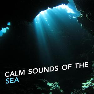 Sounds of Sea Calm