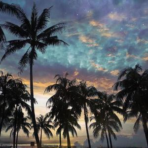 Drenchill-Freed From Desire（WeiMUSIQUE / 废博 remix）