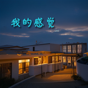 我的感觉