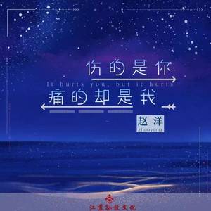 伤的是你痛的却是我 (DJ版)