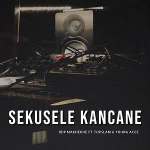 Sekusele kancane (feat. Topslam)