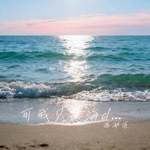 可我只是海dj (Cover LBI利比)