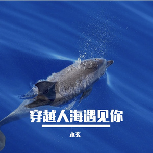 旋转的木马时光