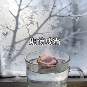 期待成霜