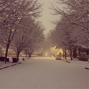 It's Cold and Rainy in New York City