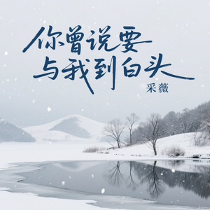 你曾说要与我到白头