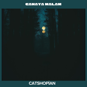 Cahaya Malam Kota
