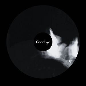 Goodbye（feat.UglyUzi）