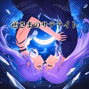 逆さまのサテライト